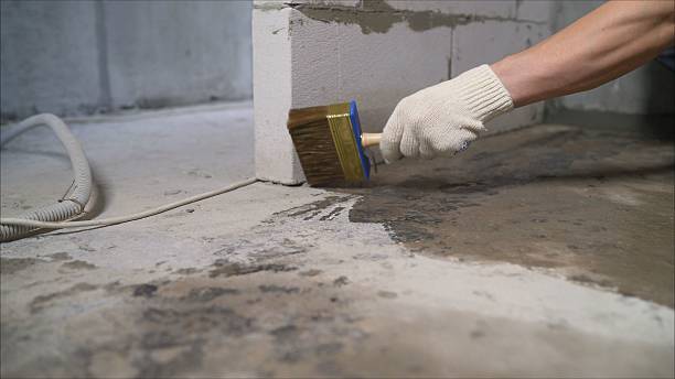 SJ Waterproofing Pros Waterproofing coverage map for Horton, MI and surrounding area